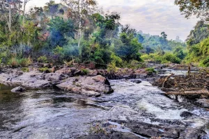 Petualangan di Taman Nasional Virachey: Keindahan Alam Liar Kamboja